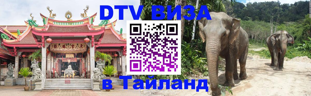 Сколько стоит DTV виза — актуальные цены, оформление даже без документов - 18.11.2025 